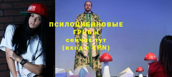 эйфоретик Баксан