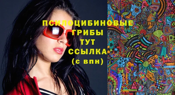 эйфоретик Баксан