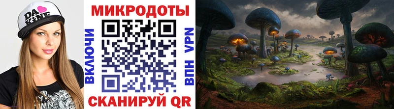 Купить где  Хвалынск  Псилоцибиновые грибы MAGIC MUSHROOMS 